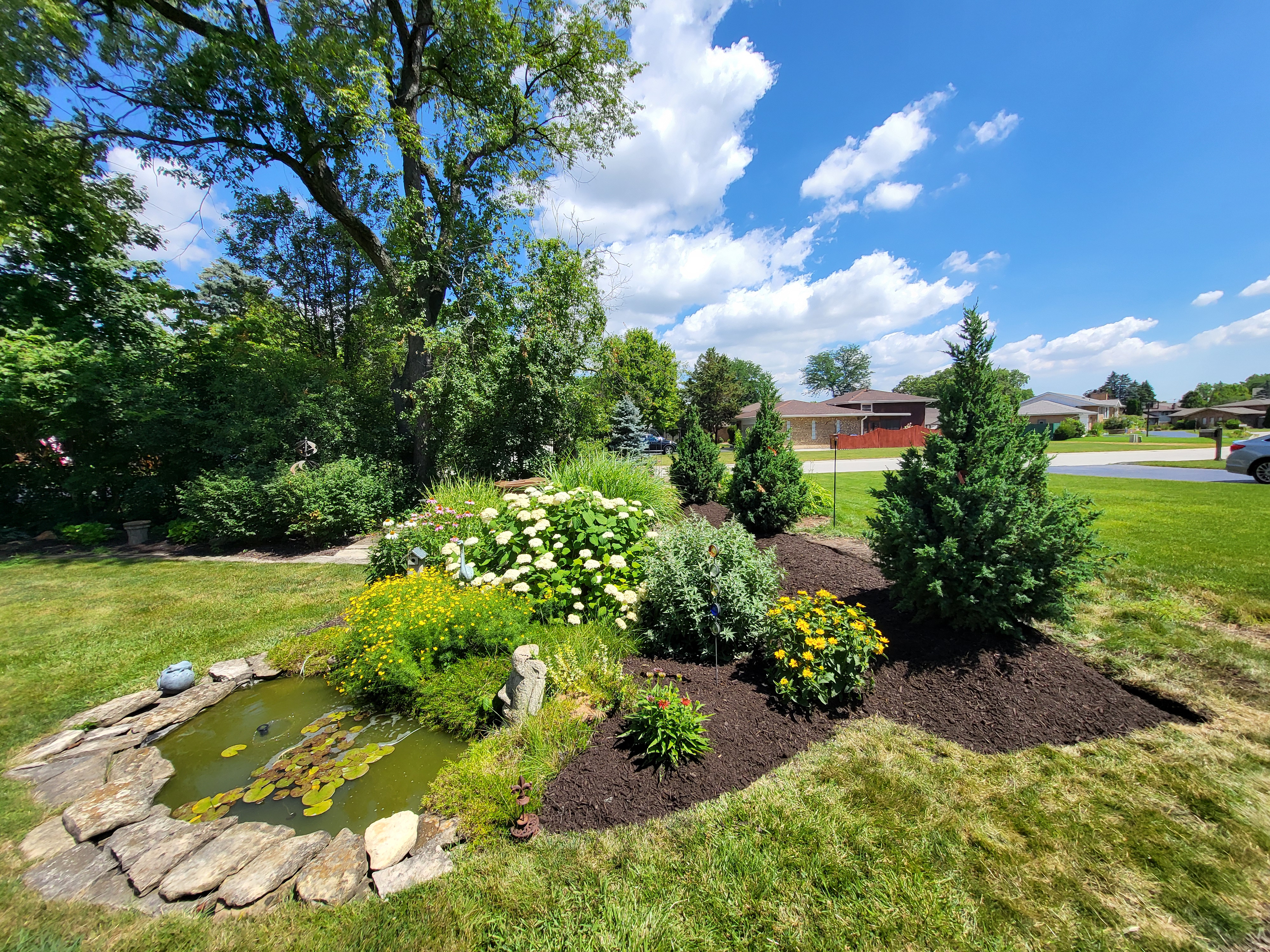 Softscape construction project