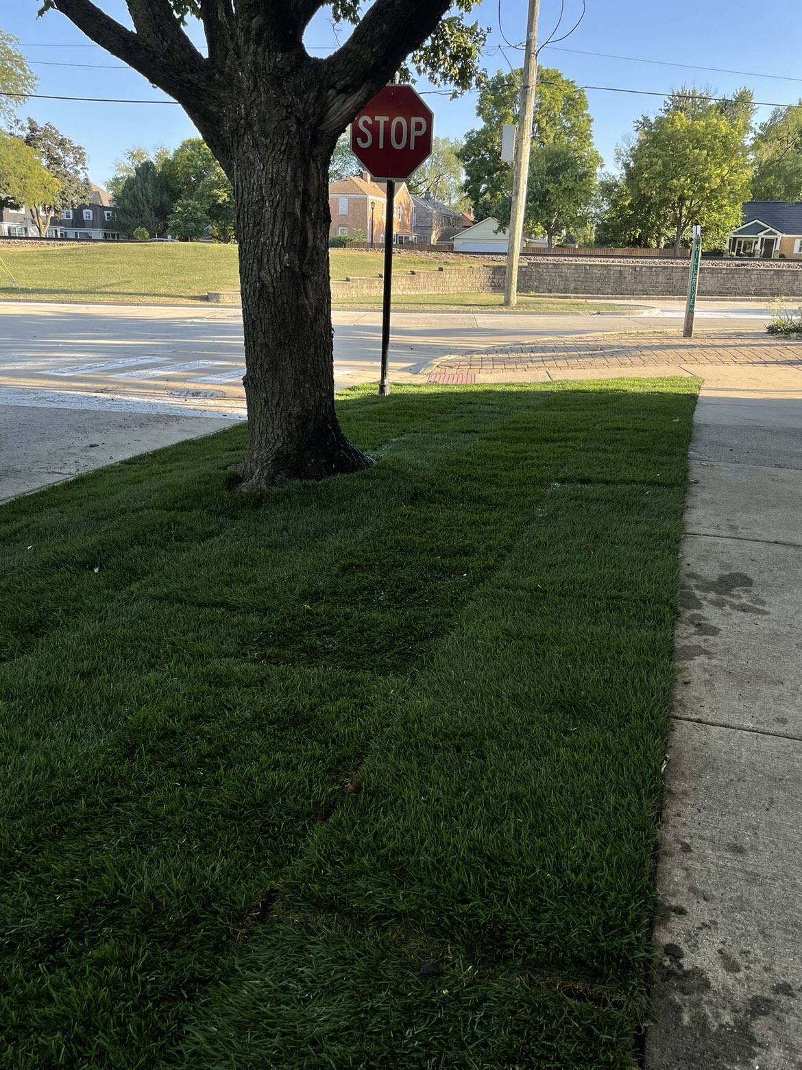 Hardscape construction