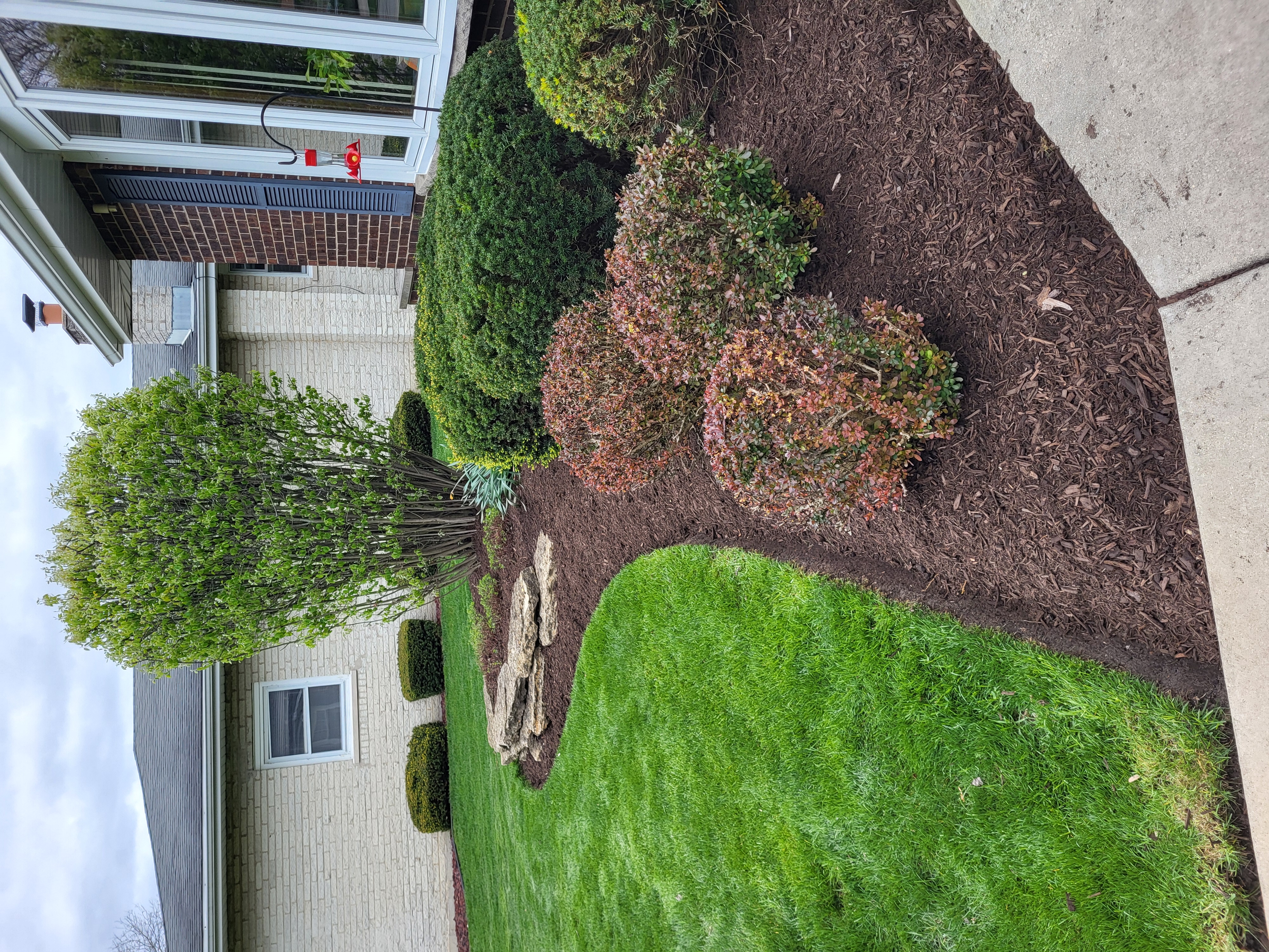 Landscape design project